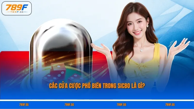 Các cửa cược phổ biến trong Sicbo là gì?