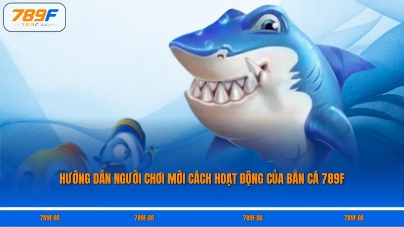 Hướng dẫn người chơi mới cách hoạt động của bắn cá 789F