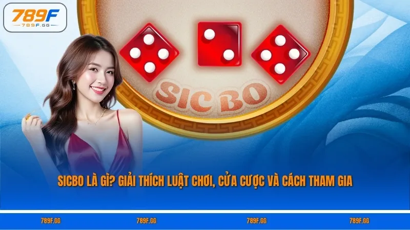 Sicbo Là Gì? Giải Thích Luật Chơi, Cửa Cược Và Cách Tham Gia