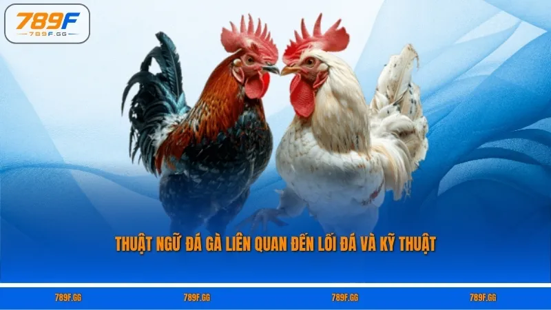 Thuật ngữ đá gà liên quan đến lối đá và kỹ thuật